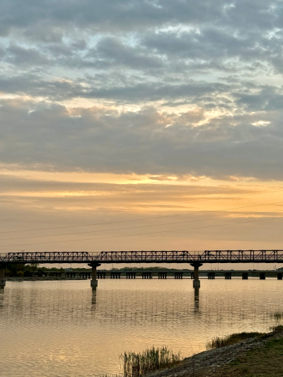 “祝你每次与春天斡旋，都是上上签” ​​​