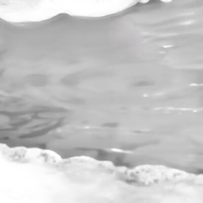 凛冬唤讼着冬日的序曲