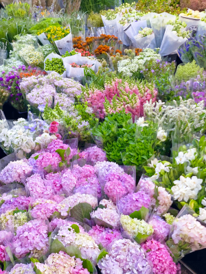 上海花市
去的是虹桥古玩城的花市，绿植、鲜切花、仿真花、花艺资财、花艺学校都和古玩店一起开在建筑物内部，对比岭南花市肯定是太小了，部分类目不全，但进口花材不算少且品质不错，目测单种进口花材的进货量比岭南花市商家的进货量大，不常见的特殊花材也很多，可能是下雨的原因，周末的花市人也不多，走在里面全是老板没见到散客。六月了，赶在芍药季的末尾买了两把芍药（10支装35+70），还买了一把栀子花（15）和龙柳（两米多的10支装30），广州本地的栀子花鲜切四月份结束就没有了，而且不容易养开，花期短暂，这次在上海买的整体品质都更优，这点还是羡慕四川，到了季节路边就有栀子花卖，原始的鲜花本就应像蔬菜一样融入普通人日常。