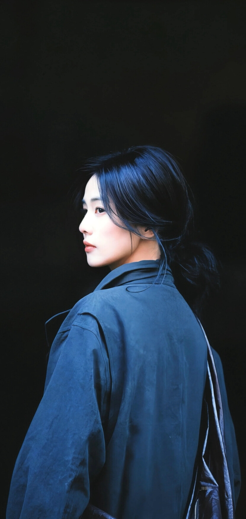 白鹿