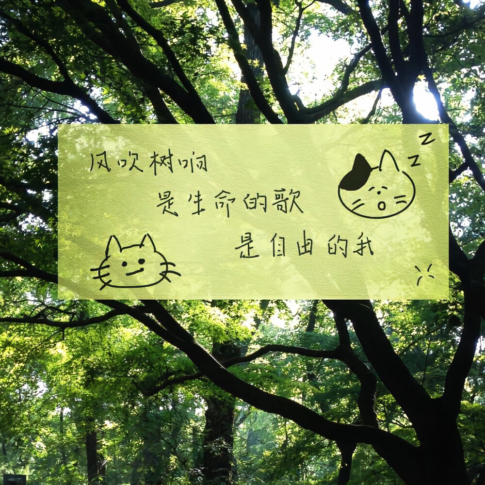 图源weibo侵权删