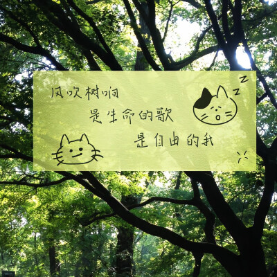 图源weibo侵权删