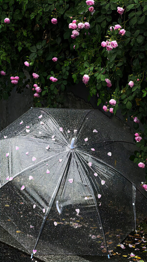 图源weibo侵权删