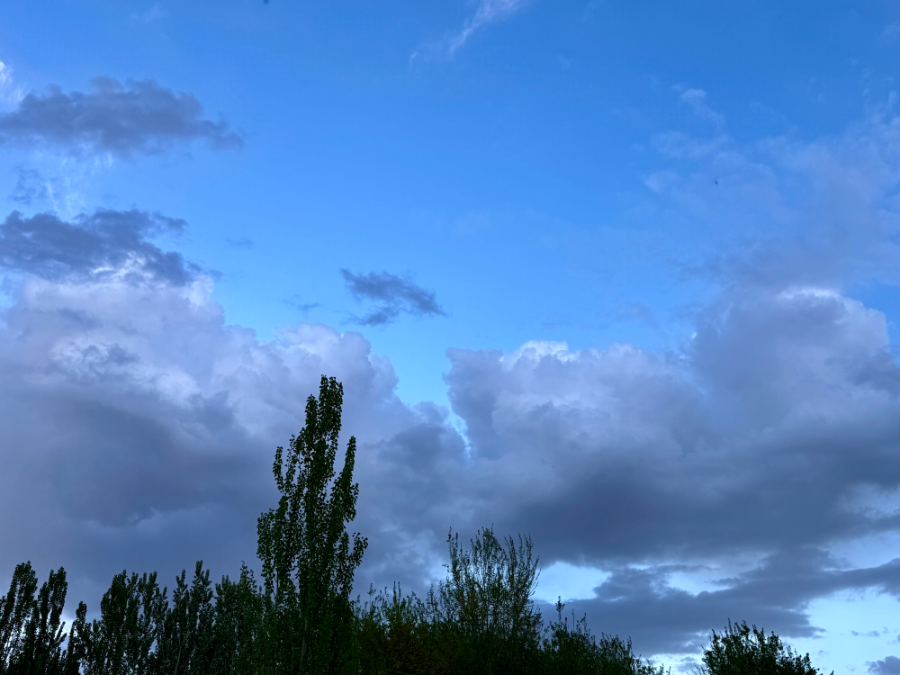 春风有信 花开有期
