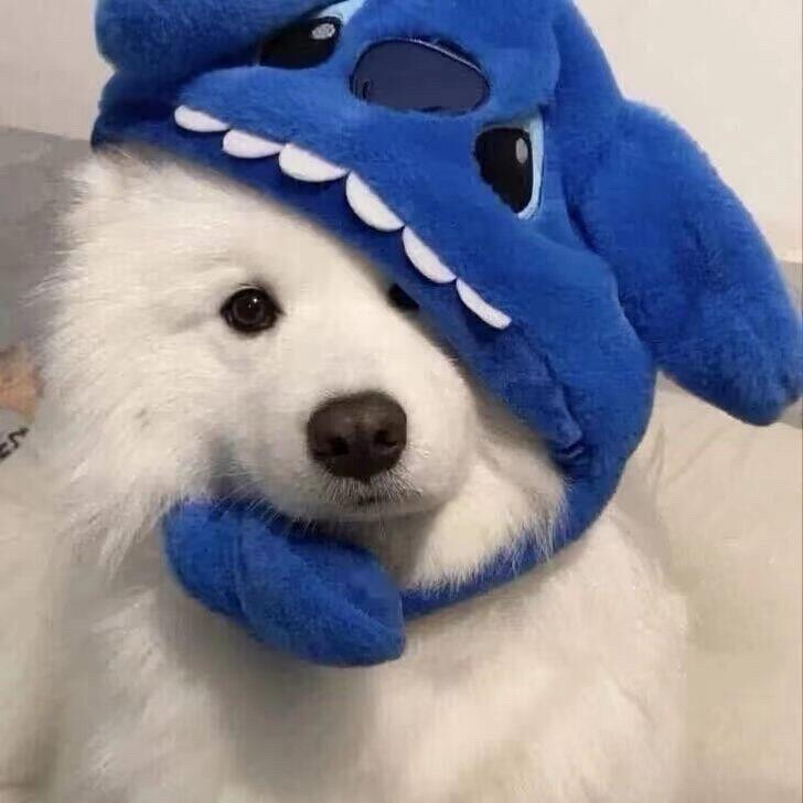 可爱耶耶