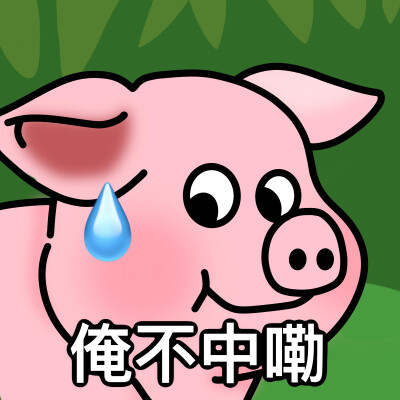 可可爱爱
