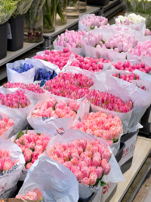 上海花市
去的是虹桥古玩城的花市，绿植、鲜切花、仿真花、花艺资财、花艺学校都和古玩店一起开在建筑物内部，对比岭南花市肯定是太小了，部分类目不全，但进口花材不算少且品质不错，目测单种进口花材的进货量比岭南花市商家的进货量大，不常见的特殊花材也很多，可能是下雨的原因，周末的花市人也不多，走在里面全是老板没见到散客。六月了，赶在芍药季的末尾买了两把芍药（10支装35+70），还买了一把栀子花（15）和龙柳（两米多的10支装30），广州本地的栀子花鲜切四月份结束就没有了，而且不容易养开，花期短暂，这次在上海买的整体品质都更优，这点还是羡慕四川，到了季节路边就有栀子花卖，原始的鲜花本就应像蔬菜一样融入普通人日常。