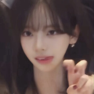 兔子