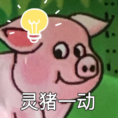 可可爱爱