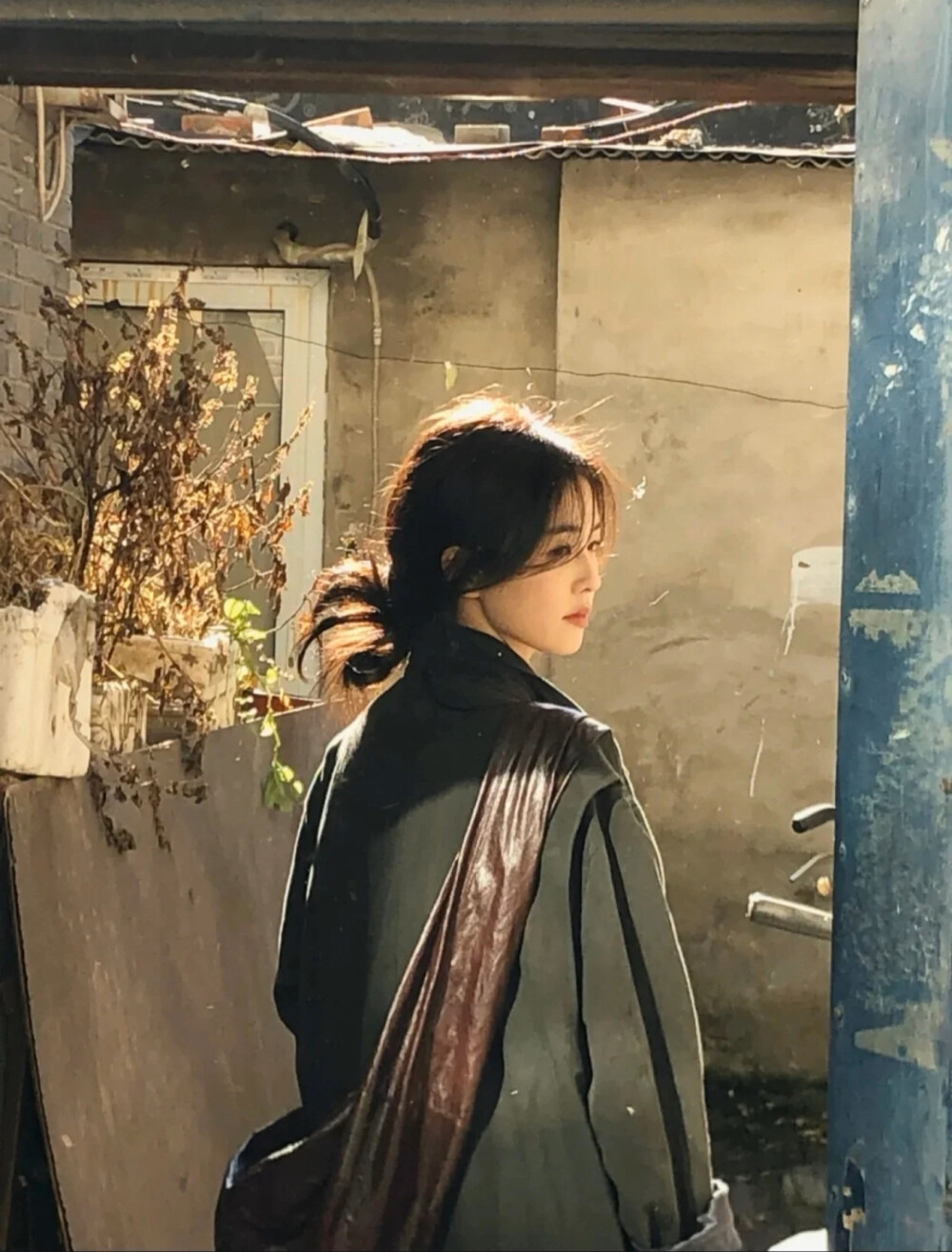 白鹿