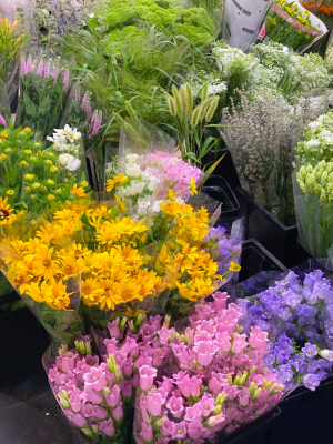 上海花市
去的是虹桥古玩城的花市，绿植、鲜切花、仿真花、花艺资财、花艺学校都和古玩店一起开在建筑物内部，对比岭南花市肯定是太小了，部分类目不全，但进口花材不算少且品质不错，目测单种进口花材的进货量比岭南花市商家的进货量大，不常见的特殊花材也很多，可能是下雨的原因，周末的花市人也不多，走在里面全是老板没见到散客。六月了，赶在芍药季的末尾买了两把芍药（10支装35+70），还买了一把栀子花（15）和龙柳（两米多的10支装30），广州本地的栀子花鲜切四月份结束就没有了，而且不容易养开，花期短暂，这次在上海买的整体品质都更优，这点还是羡慕四川，到了季节路边就有栀子花卖，原始的鲜花本就应像蔬菜一样融入普通人日常。