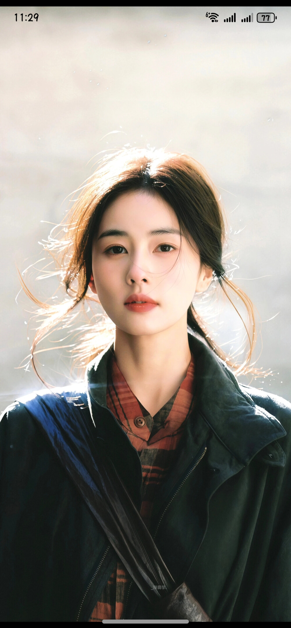 白鹿