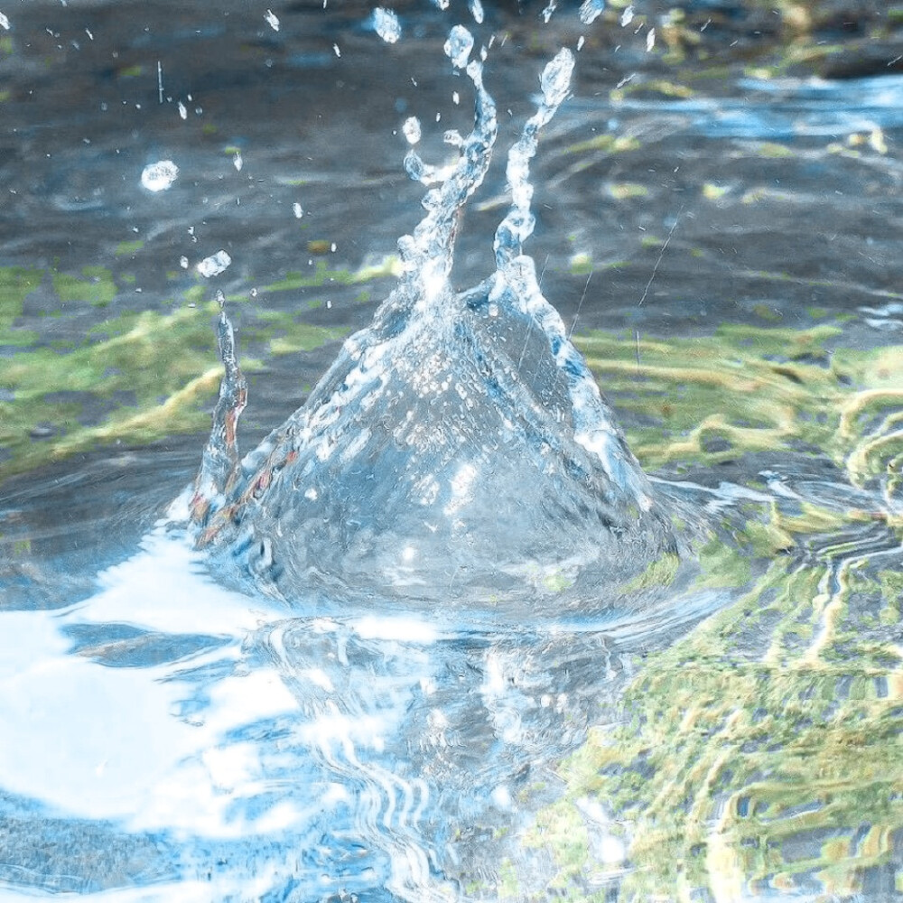 水草玛瑙（Aquatic agate）