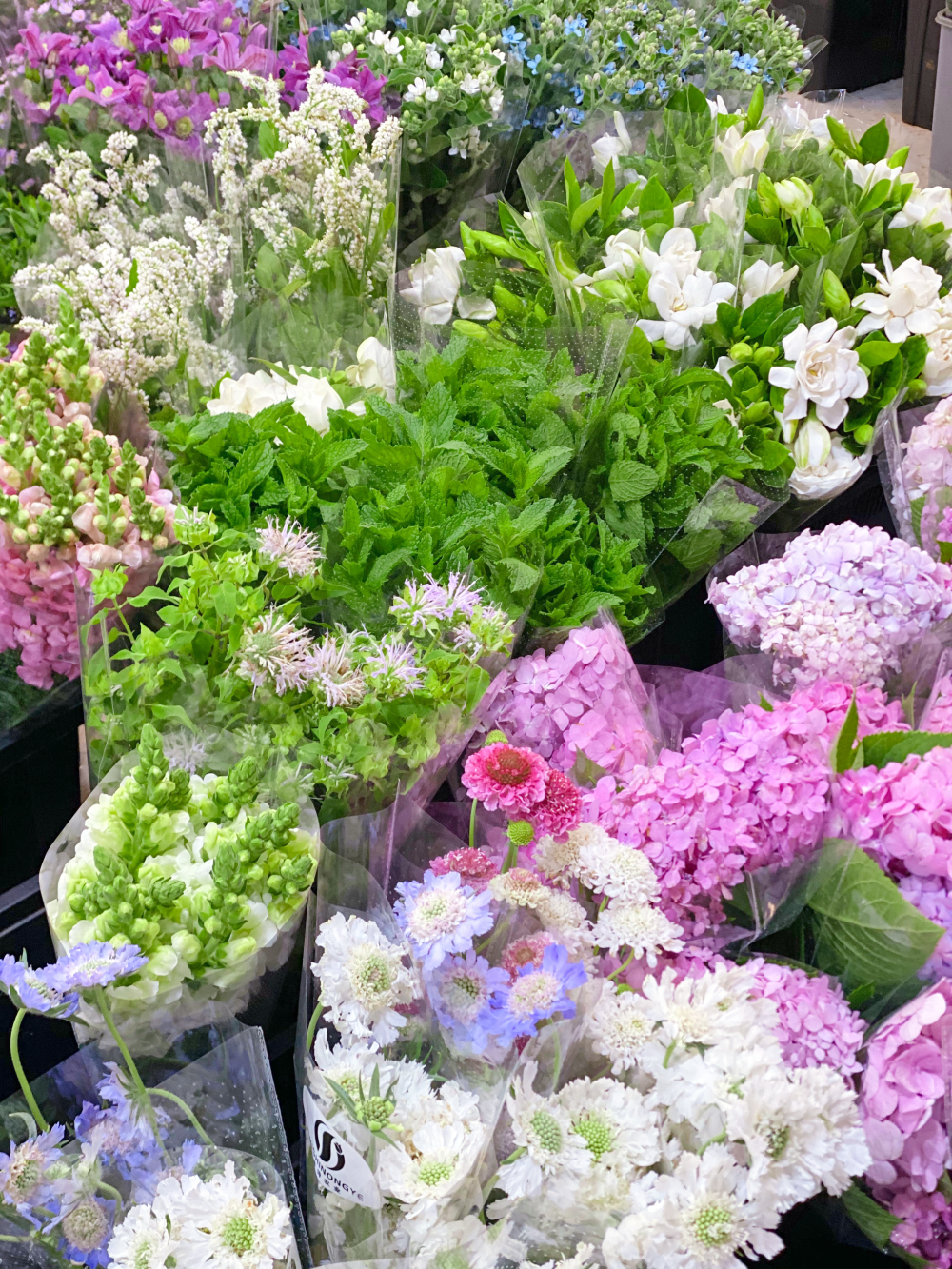 上海花市
去的是虹桥古玩城的花市，绿植、鲜切花、仿真花、花艺资财、花艺学校都和古玩店一起开在建筑物内部，对比岭南花市肯定是太小了，部分类目不全，但进口花材不算少且品质不错，目测单种进口花材的进货量比岭南花市商家的进货量大，不常见的特殊花材也很多，可能是下雨的原因，周末的花市人也不多，走在里面全是老板没见到散客。六月了，赶在芍药季的末尾买了两把芍药（10支装35+70），还买了一把栀子花（15）和龙柳（两米多的10支装30），广州本地的栀子花鲜切四月份结束就没有了，而且不容易养开，花期短暂，这次在上海买的整体品质都更优，这点还是羡慕四川，到了季节路边就有栀子花卖，原始的鲜花本就应像蔬菜一样融入普通人日常。