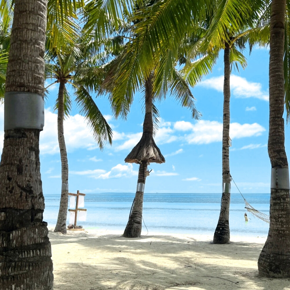 水草玛瑙（Aquatic agate）