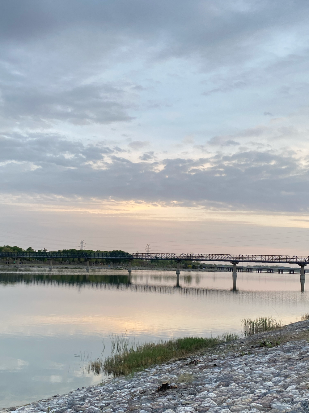 “祝你每次与春天斡旋，都是上上签” ​​​