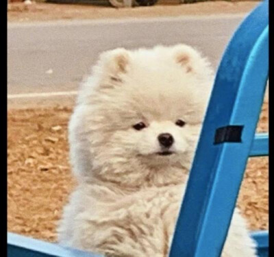 上班头像
