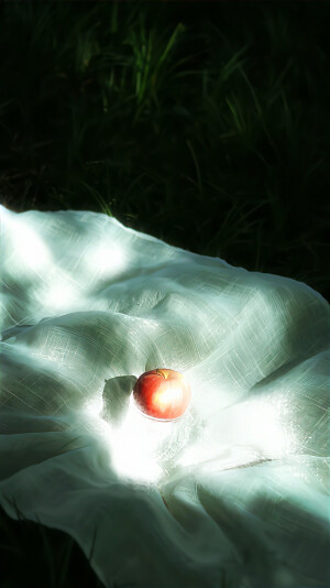 图源weibo侵权删