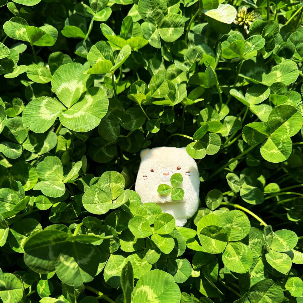 图源weibo侵权删