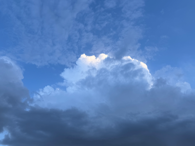 春风有信 花开有期