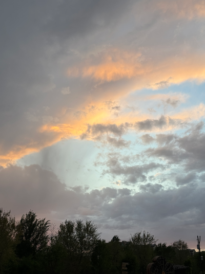 春风有信 花开有期