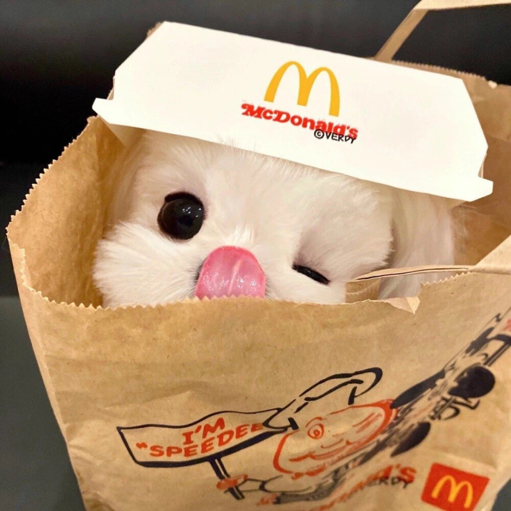 动物情头
