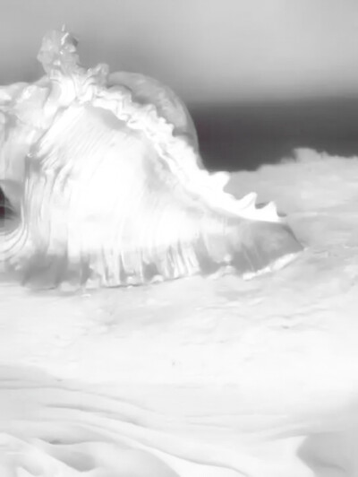 凛冬唤讼着冬日的序曲