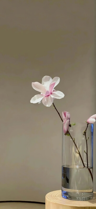 质感简约壁纸