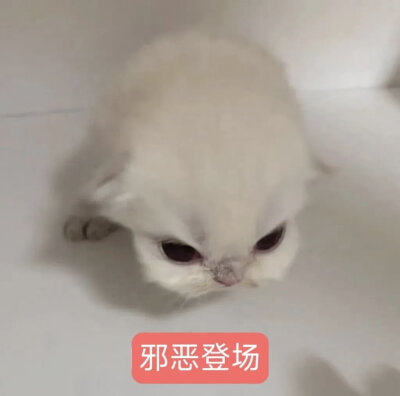 想弄高考后的小福利，弄六组图，本人懒就不配图了，想问问大家想要谁的图，多提意见吧