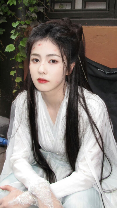 临江仙 李青月 花如月 白鹿