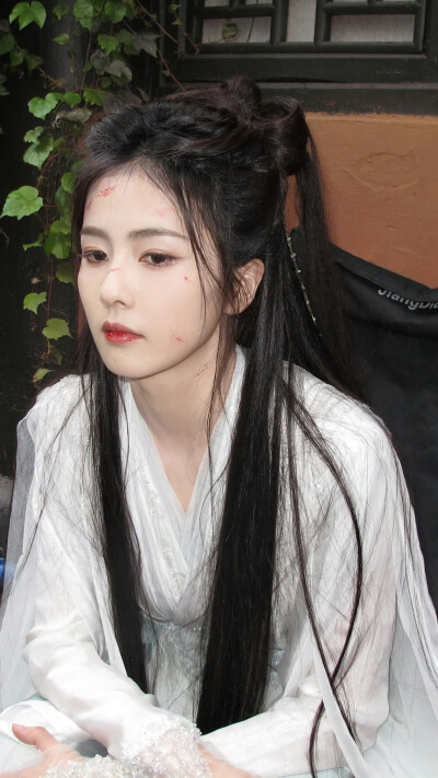 临江仙 李青月 花如月 白鹿