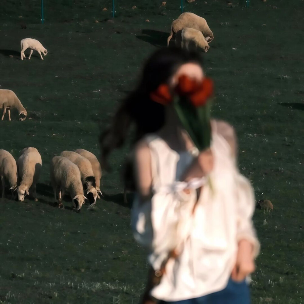 是美和氛围感的