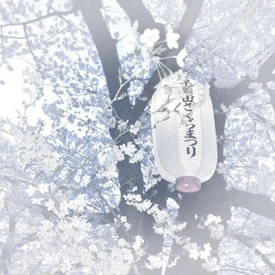 背景图
