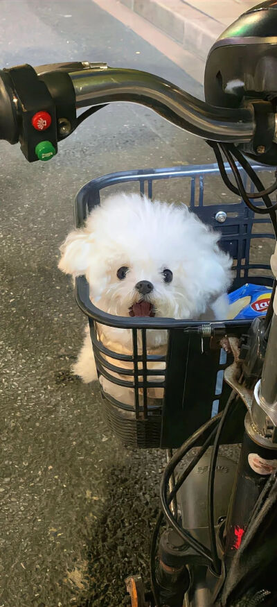 壁纸