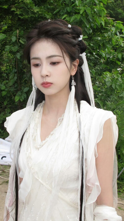 临江仙 李青月 花如月 白鹿