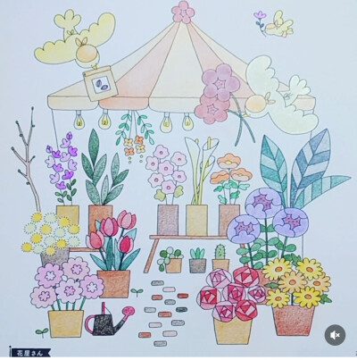 涂色