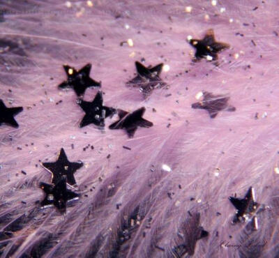 星星核