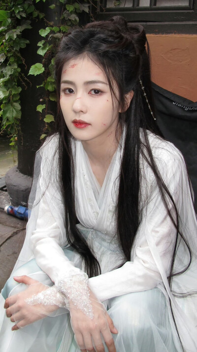 临江仙 李青月 花如月 白鹿