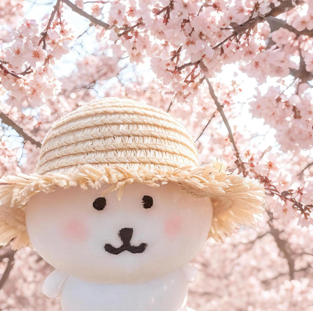 Wechat头像
花&自嘲熊 