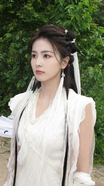 临江仙 李青月 花如月 白鹿