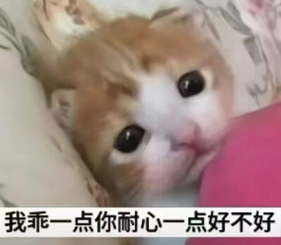 好不好