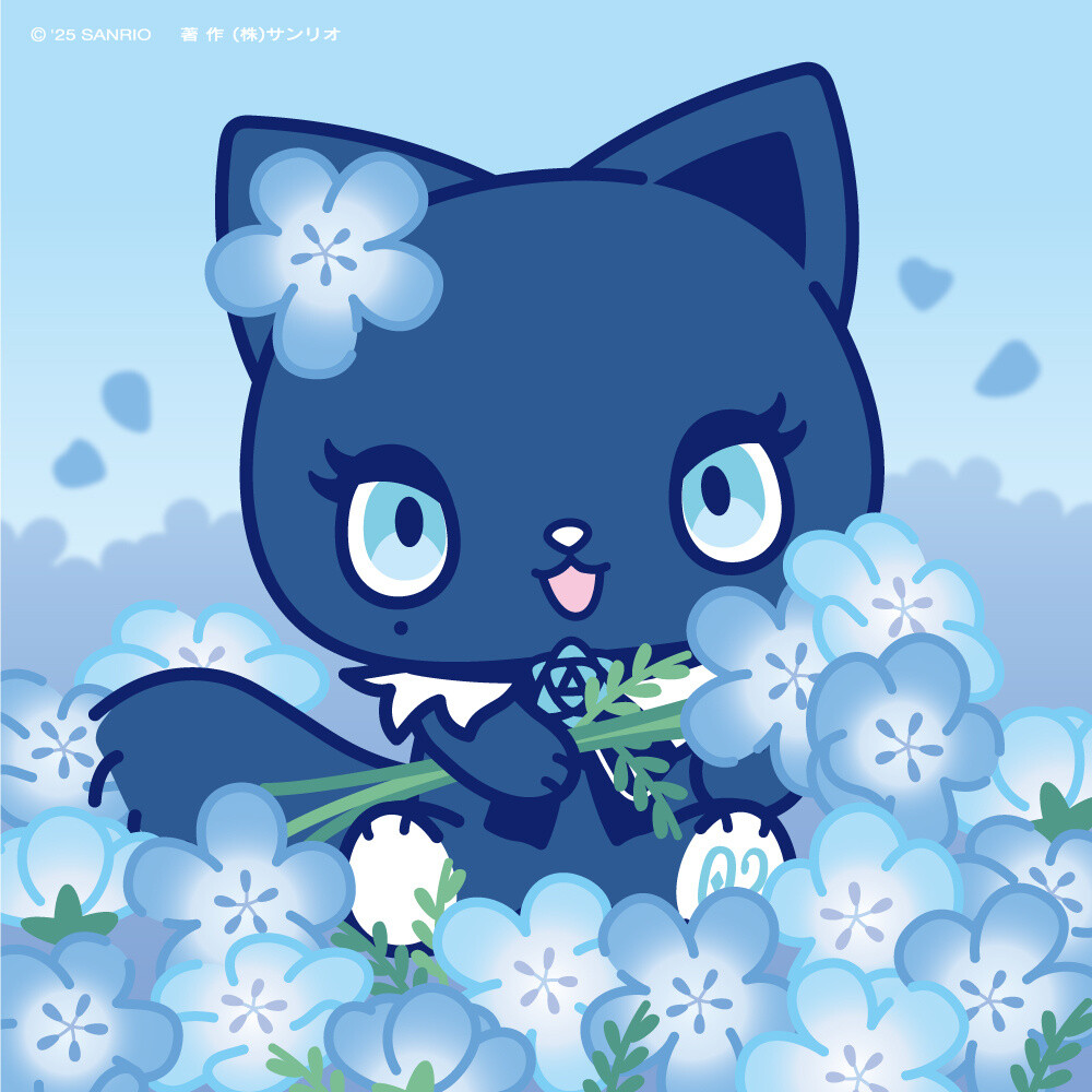 『阿多萝玛莉』头像▪壁纸