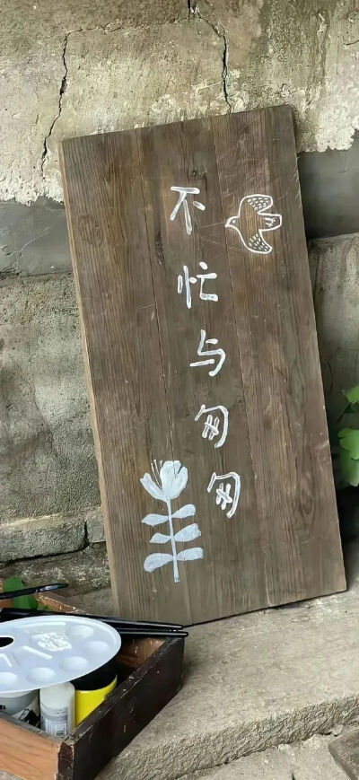 壁纸