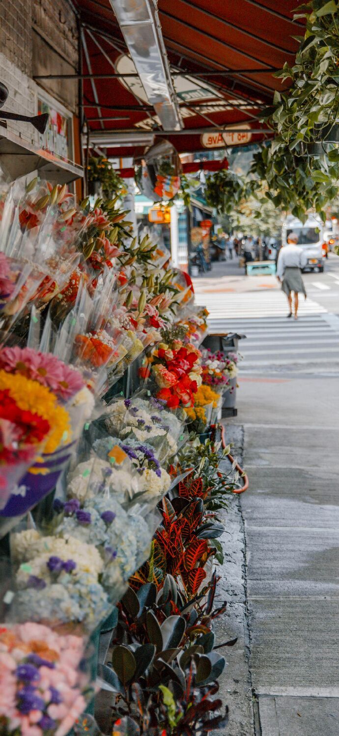 花/高清手机壁纸