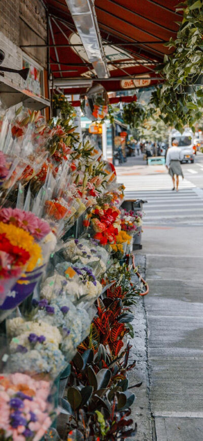 花/高清手机壁纸