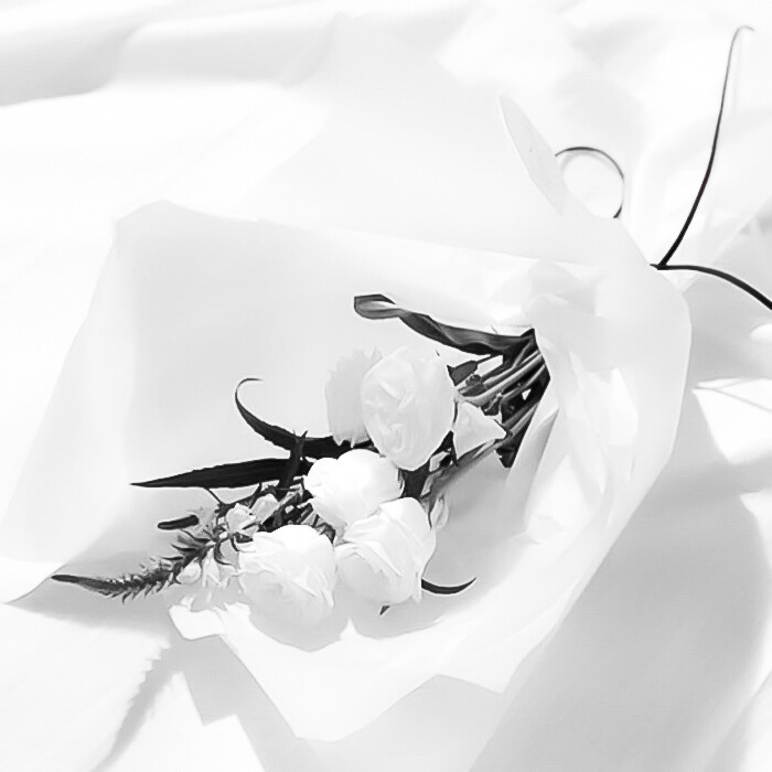 任凭日夜颠簸心被潮汐吞没