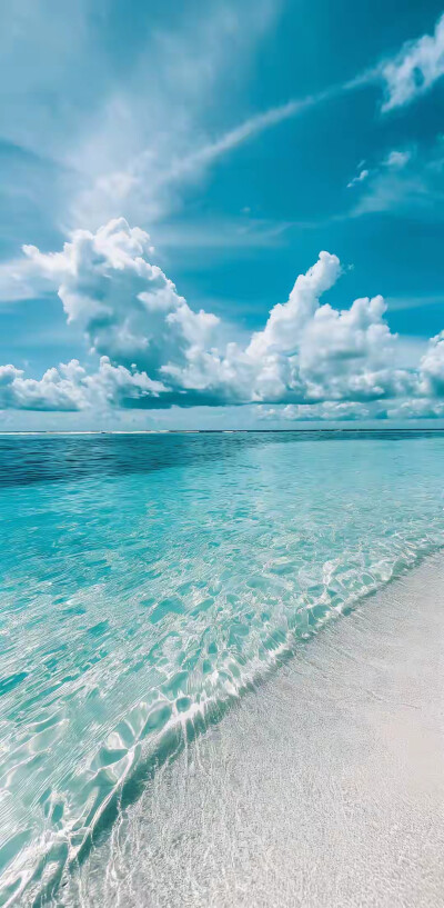 椰风海韵