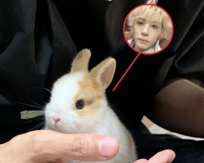 欧维欧