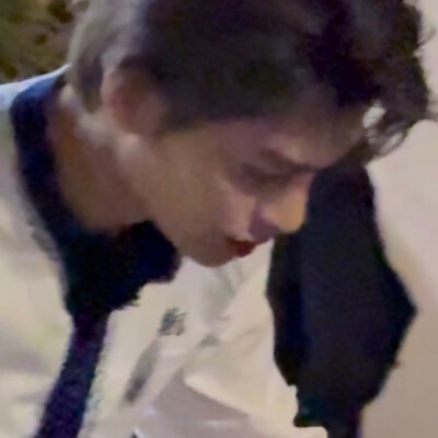丁禹兮