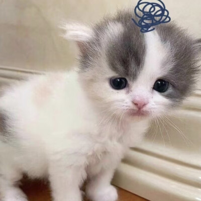 人，我好想你